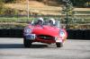 PHOTOF.HAASE_030.JPG